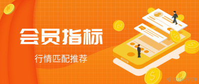 行情匹配会员指标20241029